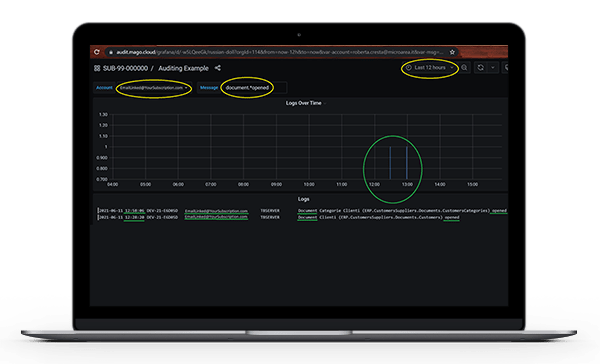 Auditing MagoCloud interface